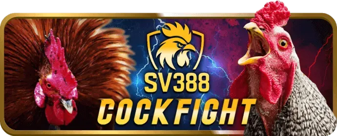 Đội ngũ hỗ trợ khách hàng VIP của betvip apk