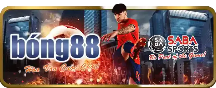 Trải nghiệm cá cược đa dạng tại betvip APK